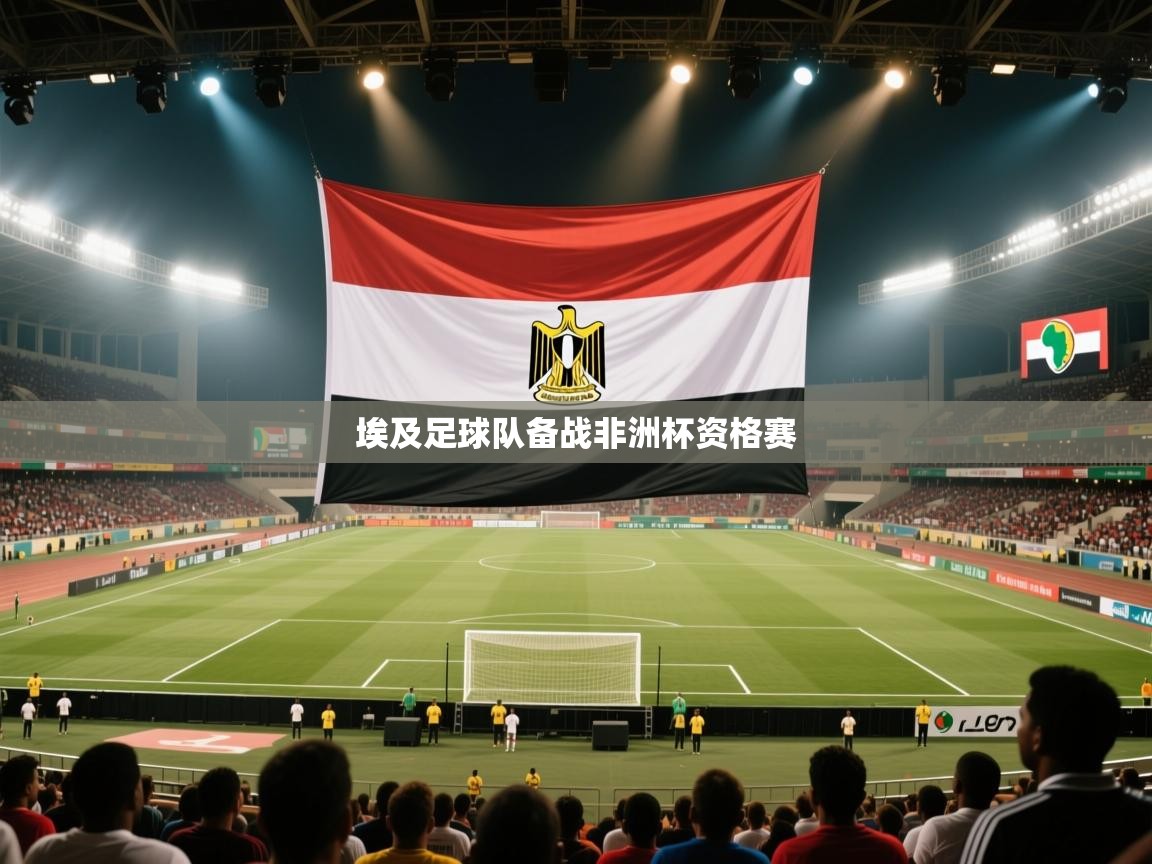 埃及足球队备战非洲杯资格赛  第2张