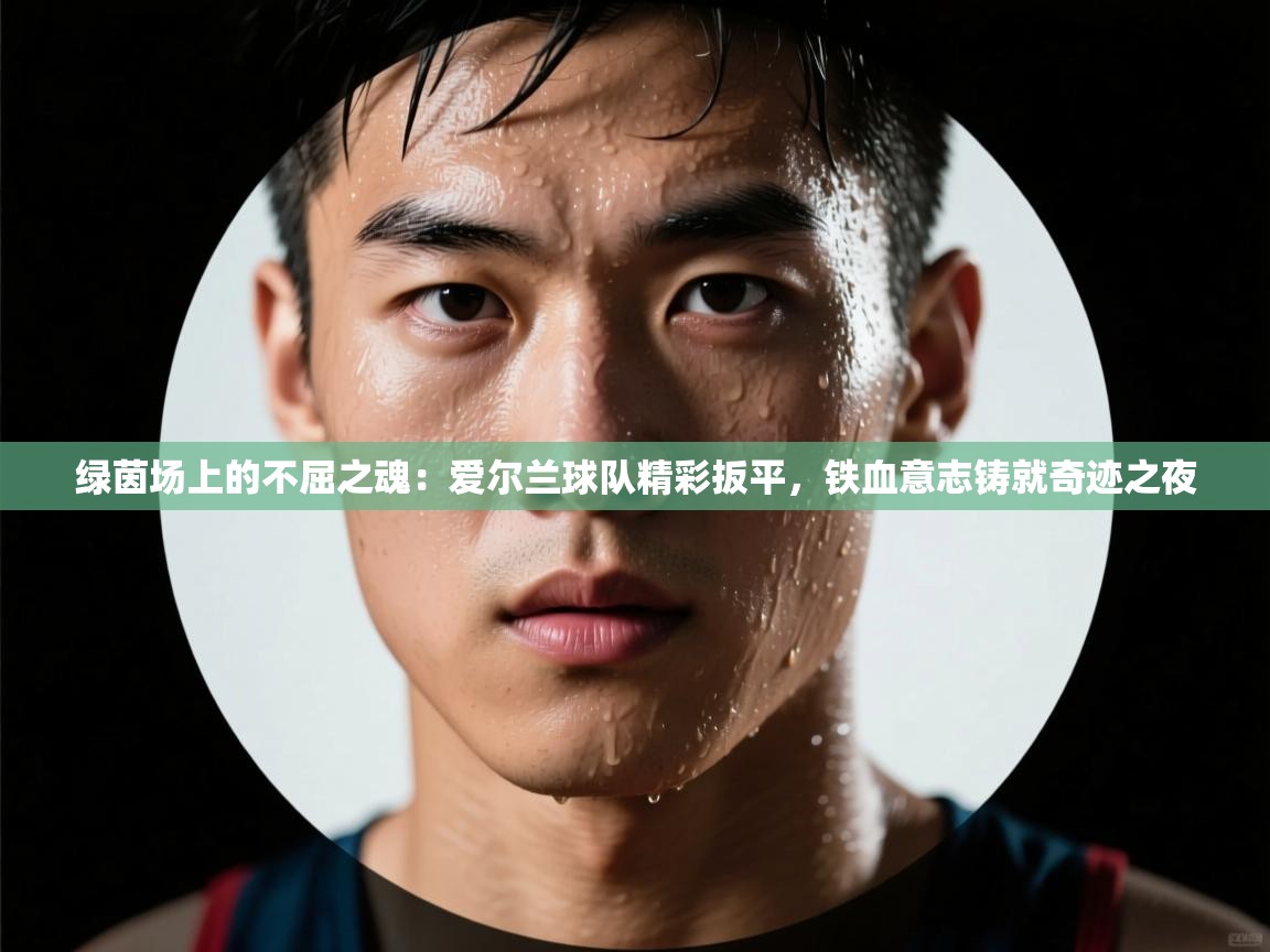 绿茵场上的不屈之魂：爱尔兰球队精彩扳平，铁血意志铸就奇迹之夜  第1张