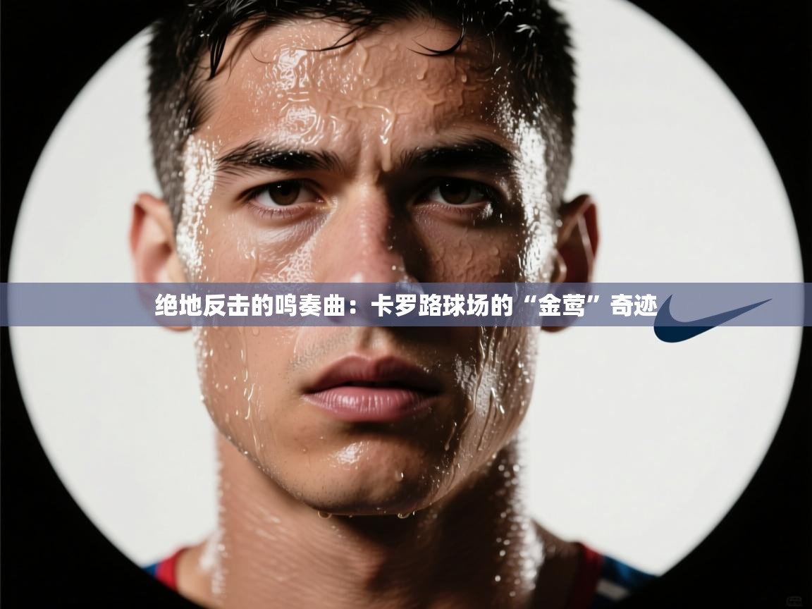 绝地反击的鸣奏曲：卡罗路球场的“金莺”奇迹  第2张